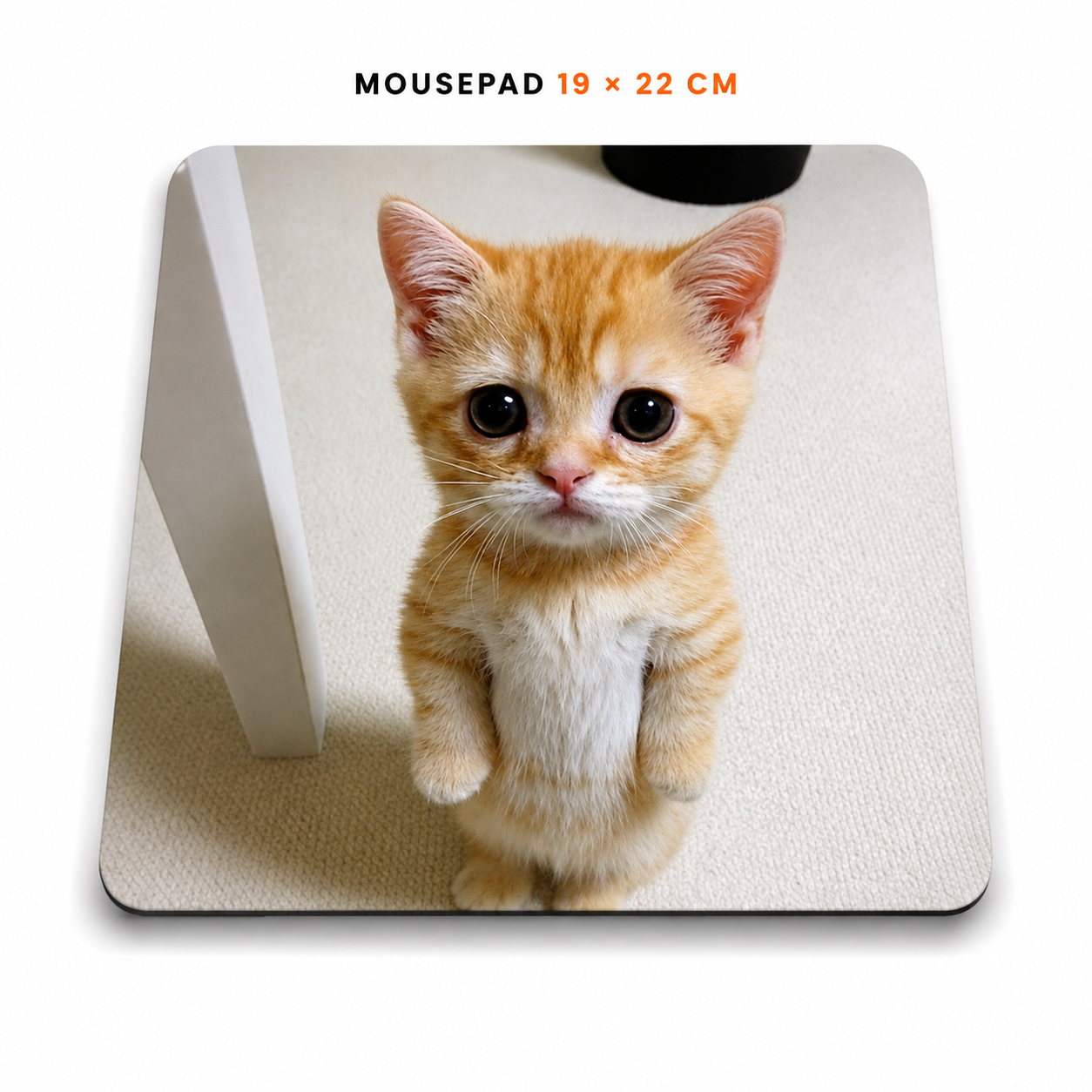 Mousepad de Gatitos | Elige tu diseño favorito