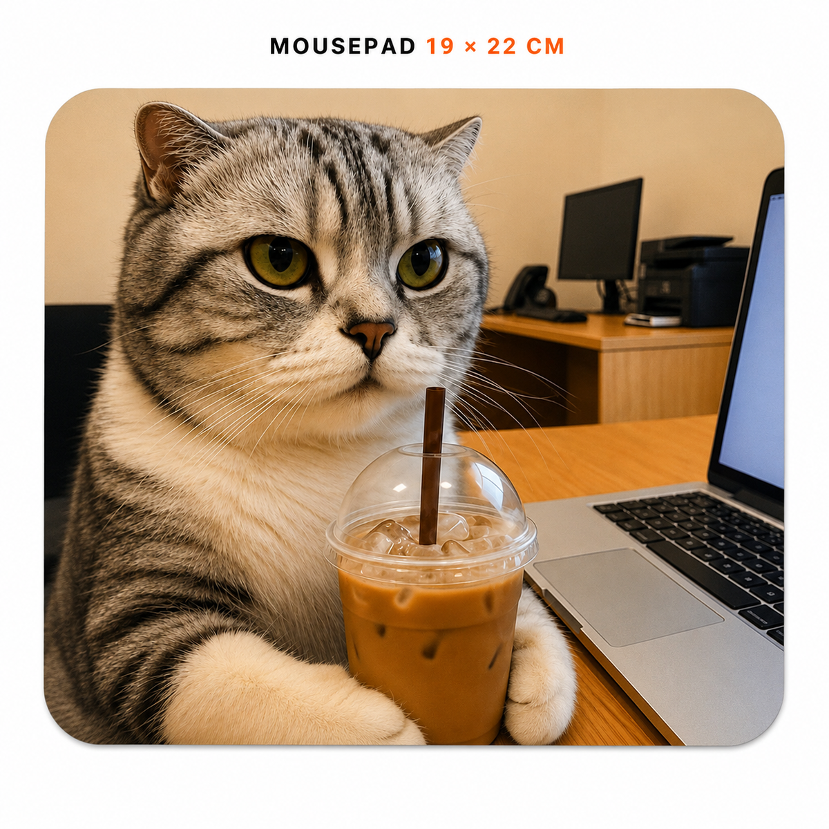 Mousepad de Gatitos | Elige tu diseño favorito