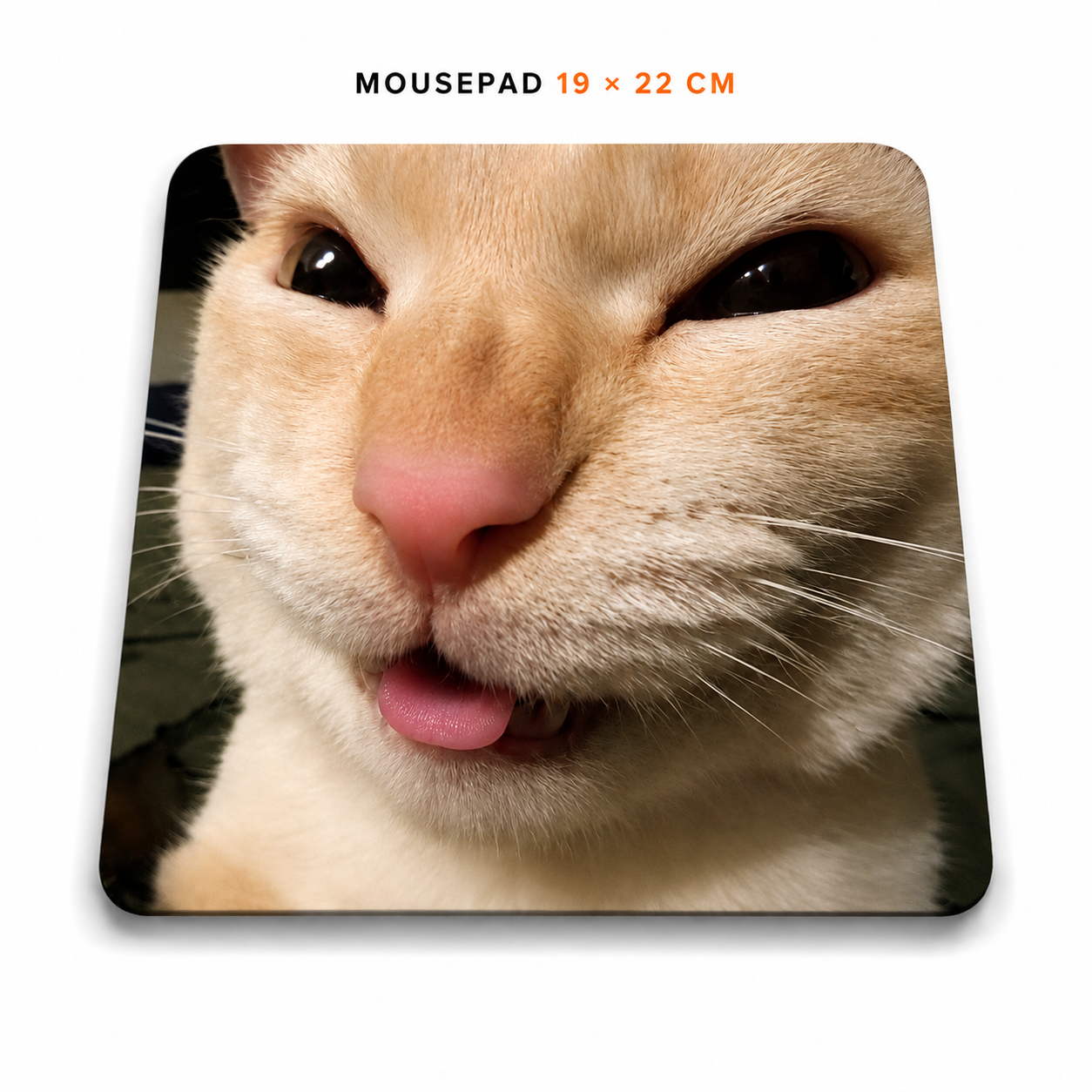 Mousepad de Gatitos | Elige tu diseño favorito
