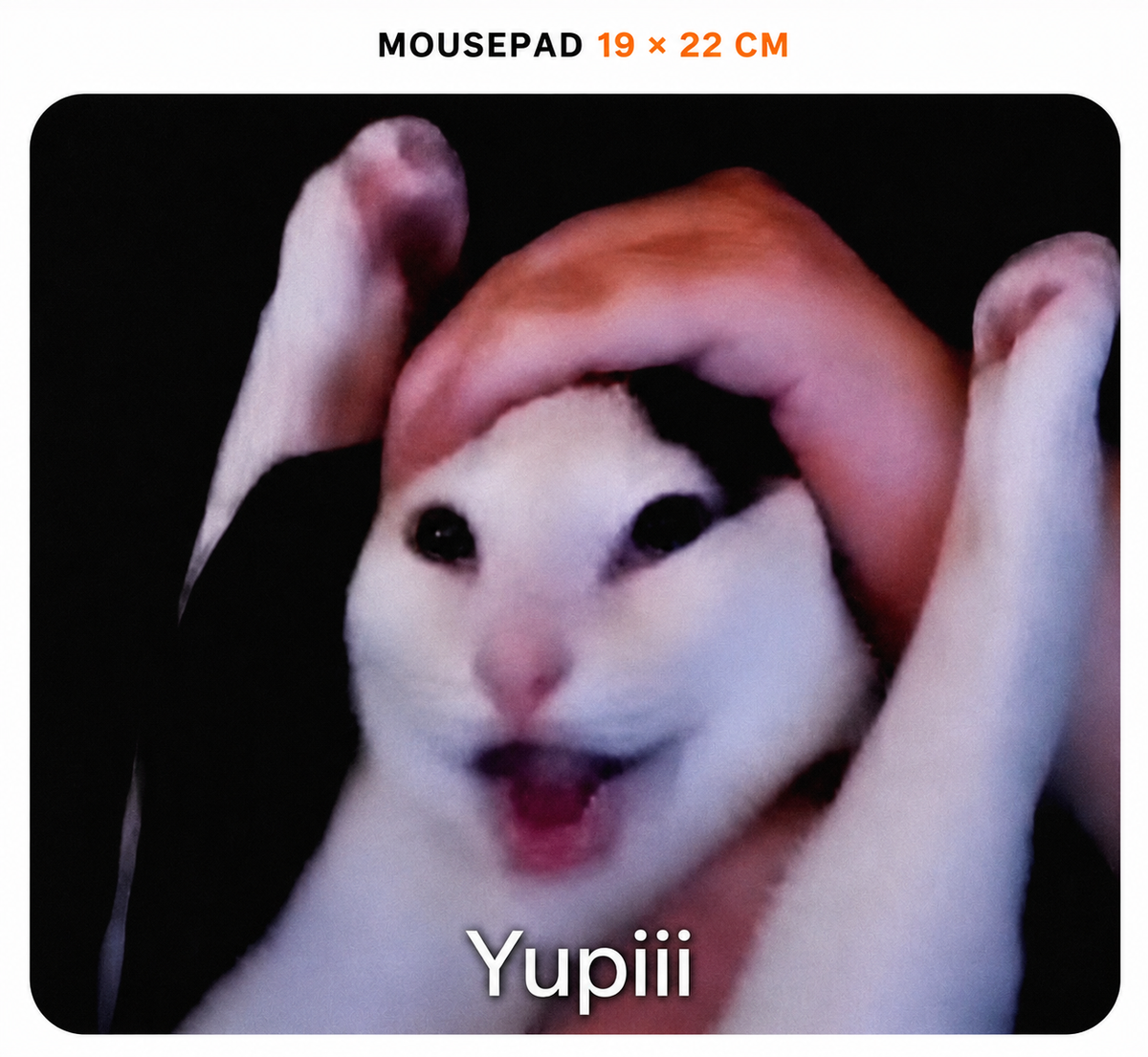 Mousepad de Gatitos | Elige tu diseño favorito
