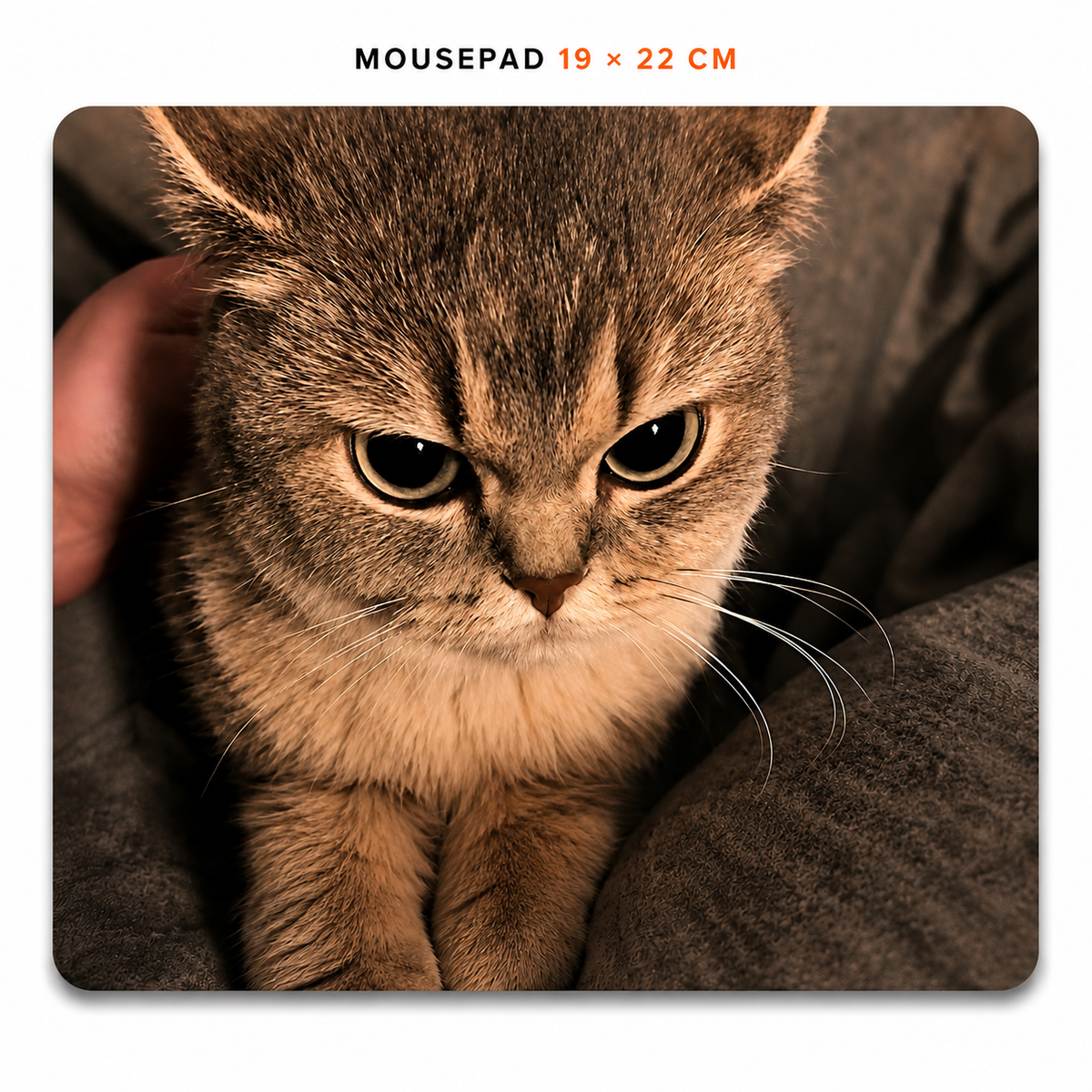 Mousepad de Gatitos | Elige tu diseño favorito